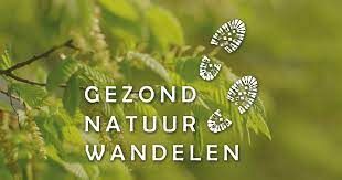 logo gezond natuur wandelen.jpg